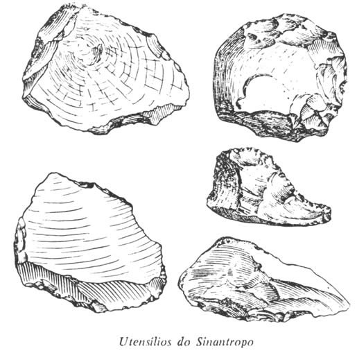 Utensílios do Sinantropo